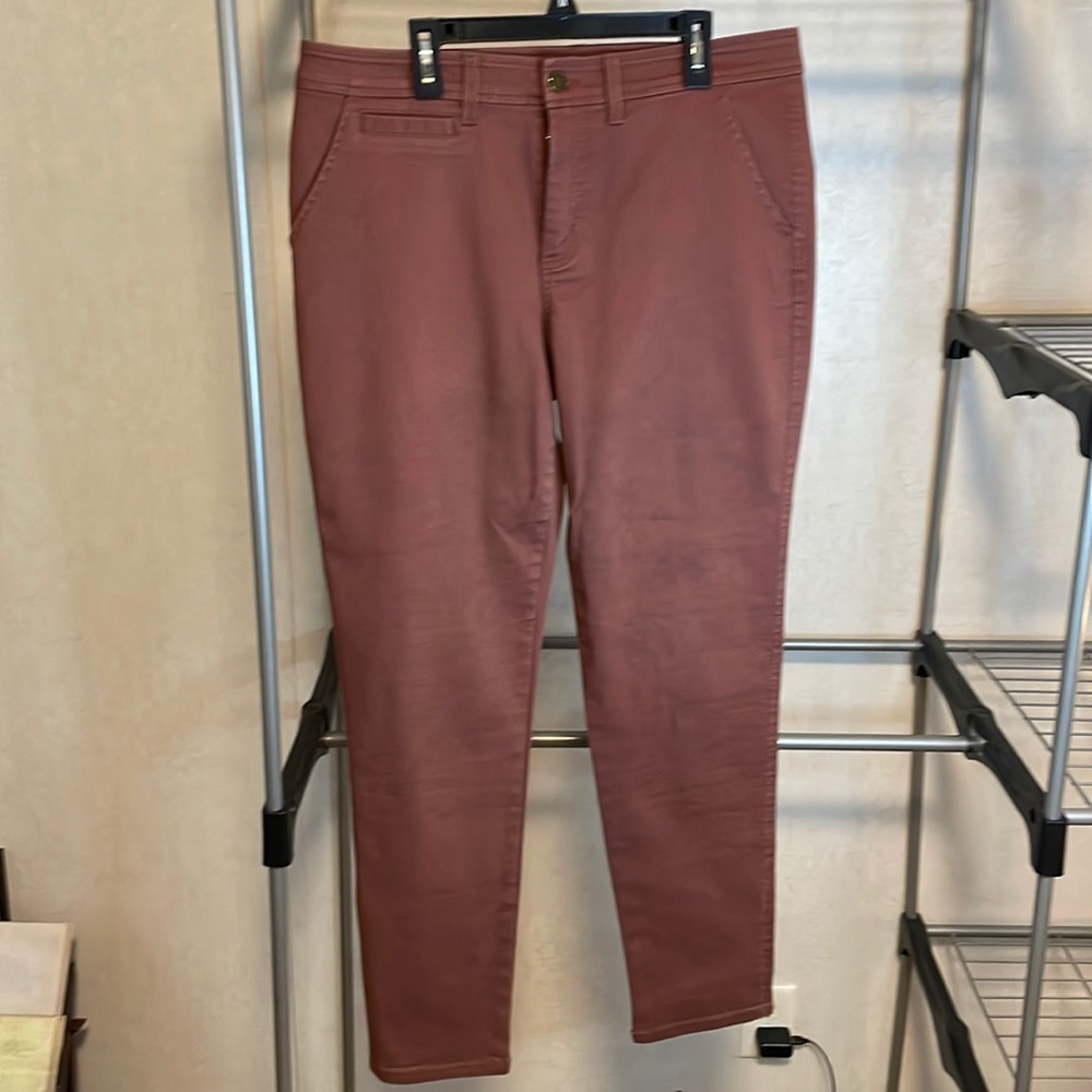 Market & Spruce Rust Skinny Jeans Size 14